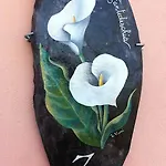 شقة Chiarina *