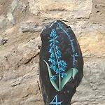 Chiarina * دولتشيدو