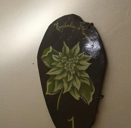 Chiarina Apartment Dolcedo